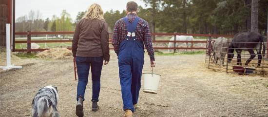 Départ de l’un des cotitulaires d’un bail rural sans en informer le bailleur