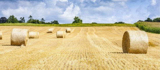 Baux ruraux : forte hausse du montant des fermages