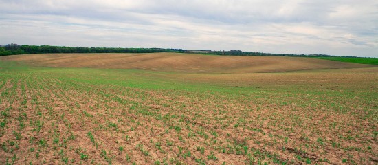 Le prix des terres agricoles et viticoles en 2023