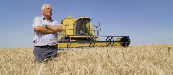 Bail rural : gare au recours à une entreprise de travaux agricoles !