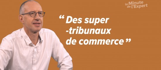 Les tribunaux des activités économiques