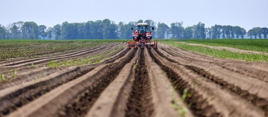 Mise à disposition d’une société de parcelles agricoles louées : il faut les exploiter !