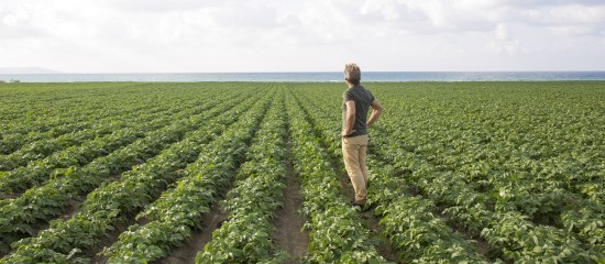 Violation du droit de préemption de l’exploitant agricole : quel délai pour contester ?